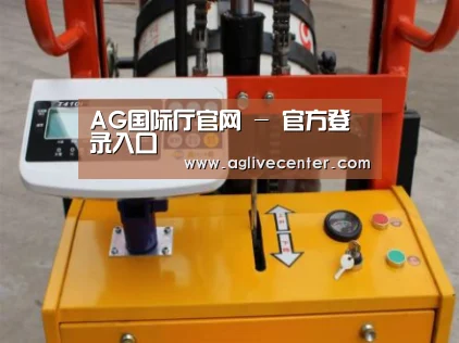 产品名称二(图1) 产品名称二(图1)