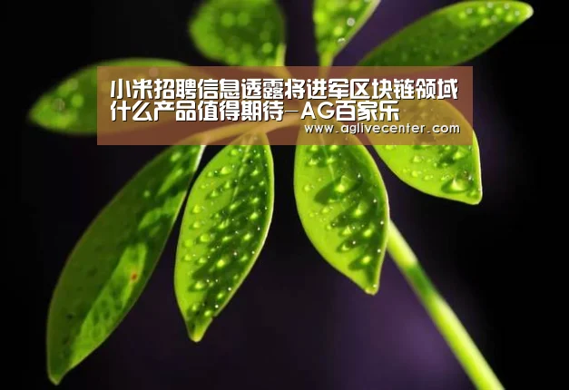 小米招聘信息透露将进军区块链领域什么产品值得期待-AG百家乐(图1) AG百家乐