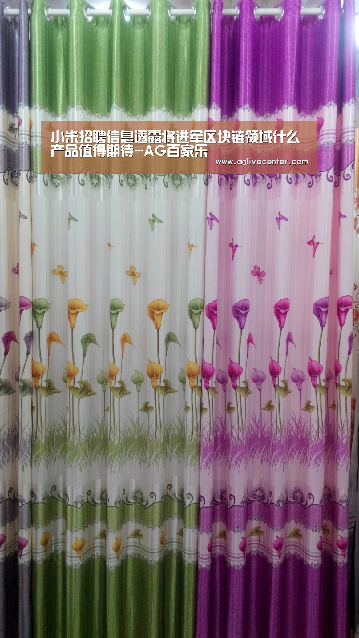 小米招聘信息透露将进军区块链领域什么产品值得期待-AG百家乐(图2) AG百家乐