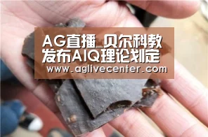 AG直播_贝尔科教发布AIQ理论划定人工智能时代教育纲领(图1) AG直播