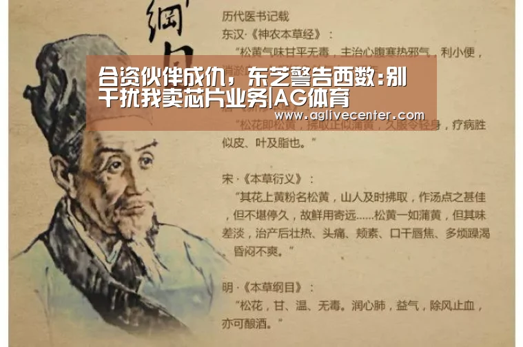合资伙伴成仇,东芝警告西数:别干扰我卖芯片业务|AG体育(图3) AG直播