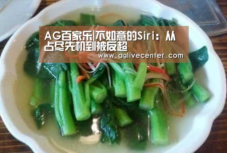AG百家乐|不如意的Siri:从占尽先机到被反超(图2) AG直播